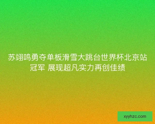 苏翊鸣勇夺单板滑雪大跳台世界杯北京站冠军 展现超凡实力再创佳绩