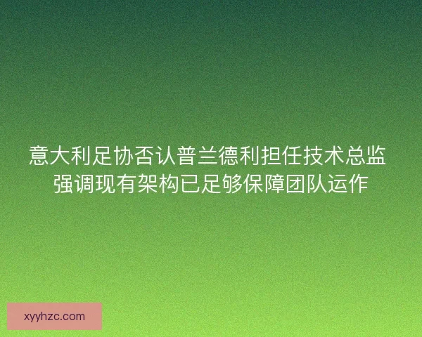 意大利足协否认普兰德利担任技术总监 强调现有架构已足够保障团队运作