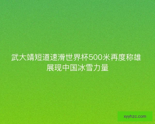 武大靖短道速滑世界杯500米再度称雄 展现中国冰雪力量